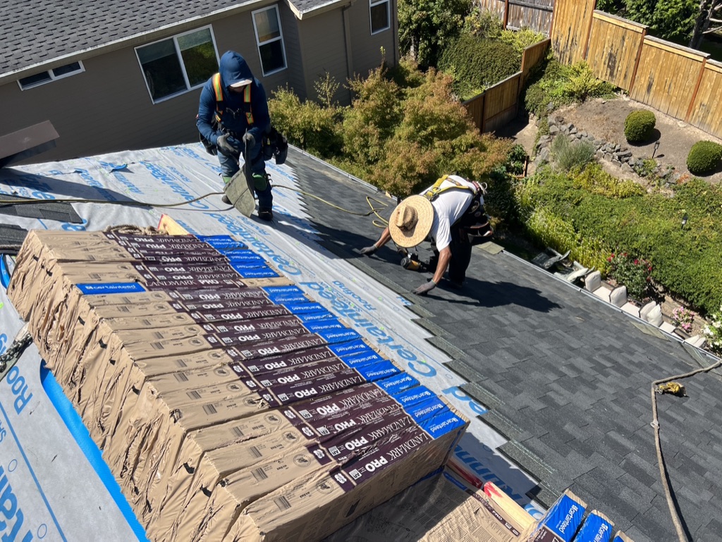 Roof Replacement